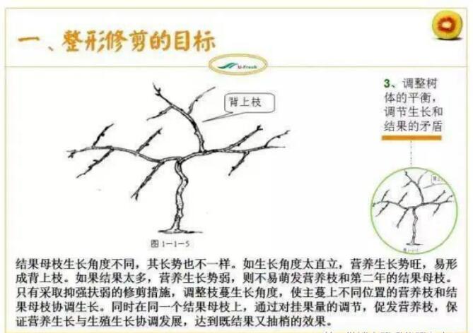 1720081126332191.jpg QQ截圖20240704160134.jpg