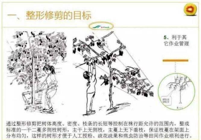 1720081152434980.jpg QQ截圖20240704160206.jpg