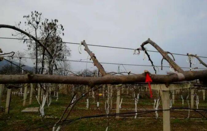 1720081353573315.jpg QQ截圖20240704160309.jpg