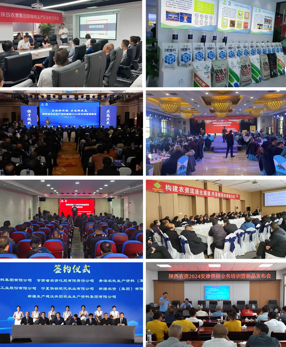 1720682761202079.jpg 345.jpg